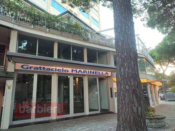 appartamento in affitto a Cervia in zona Milano Marittima