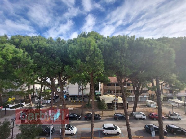 appartamento in affitto a Cervia in zona Milano Marittima