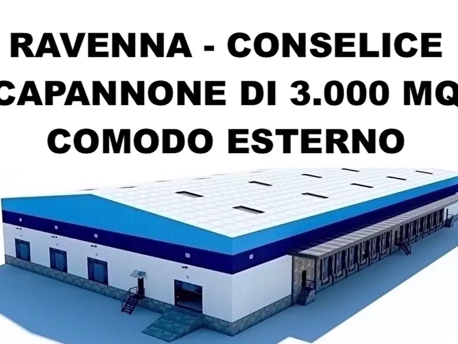 attico in affitto a Conselice