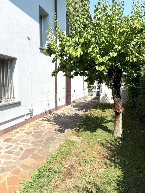 appartamento in affitto a Cotignola