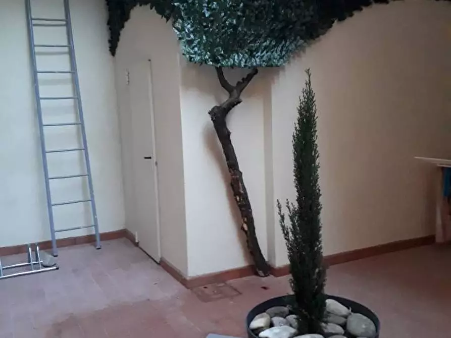 appartamento in affitto a Faenza