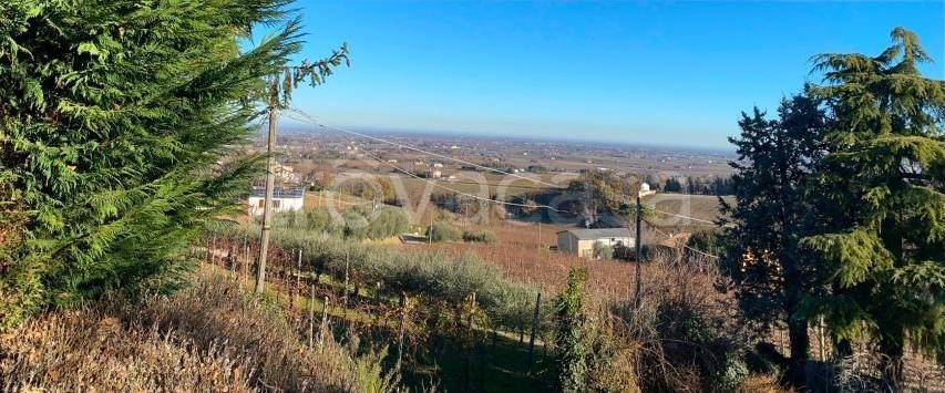 negozio in affitto a Faenza