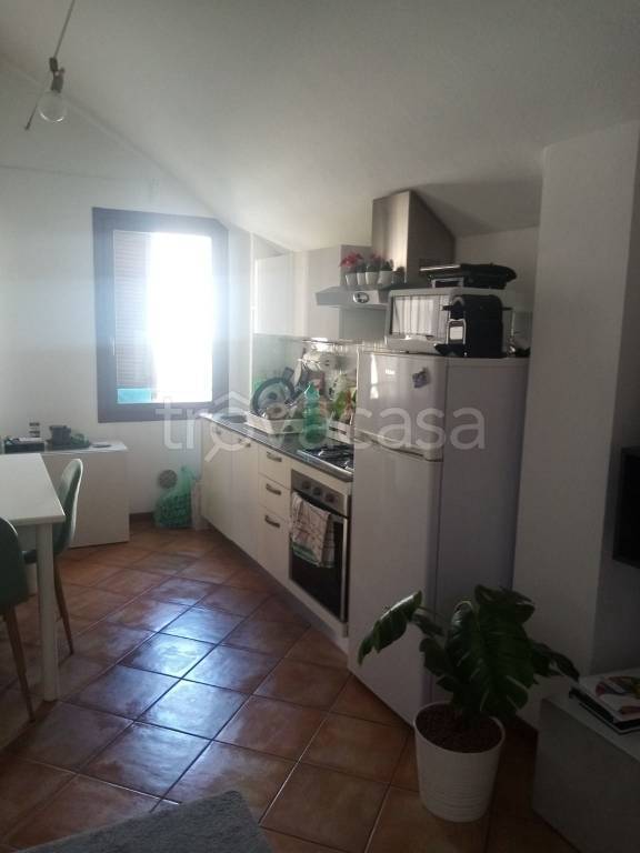 appartamento in affitto a Lugo