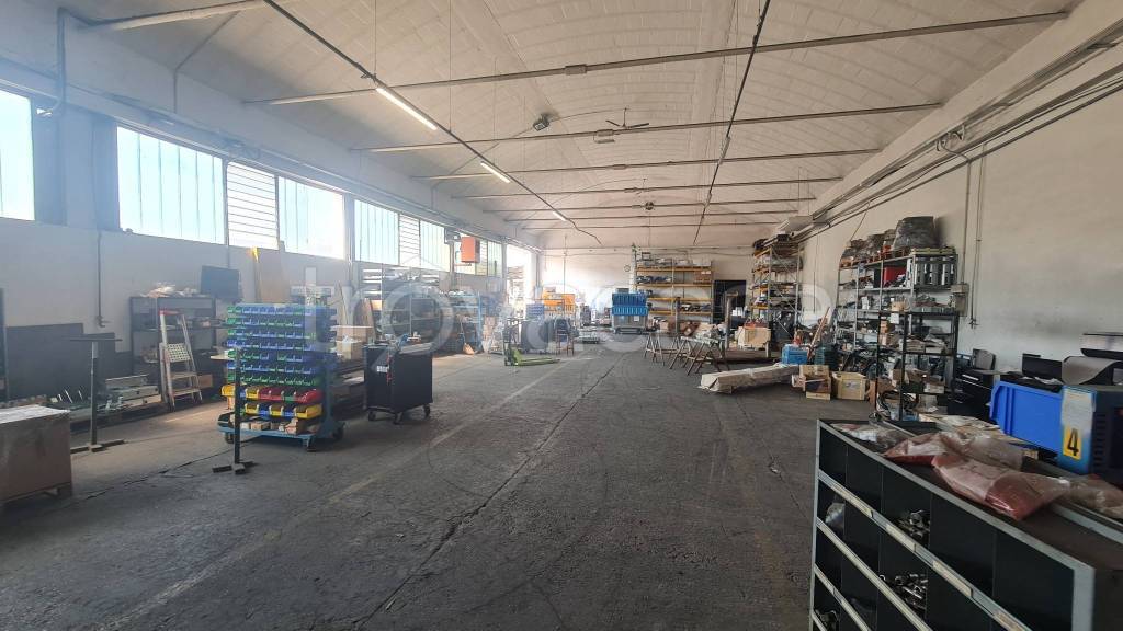 appartamento in affitto a Lugo