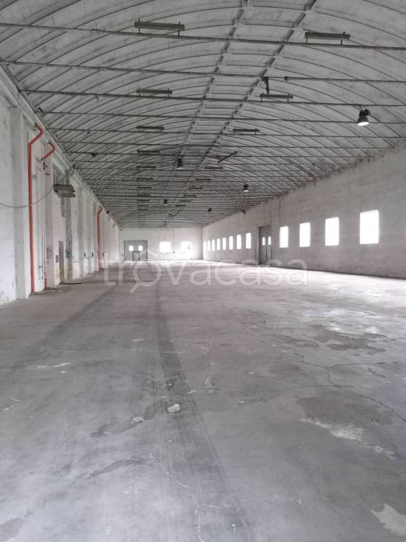 locale commerciale in affitto a Lugo