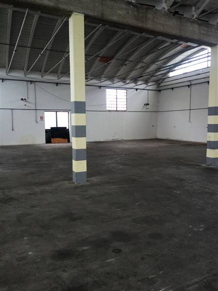 ufficio in affitto a Massa Lombarda
