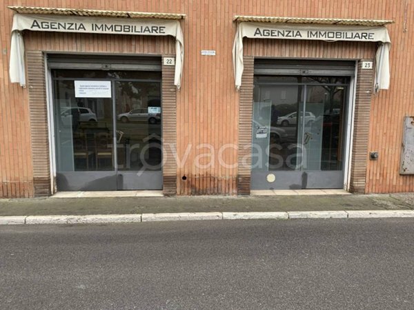 appartamento in affitto a Massa Lombarda
