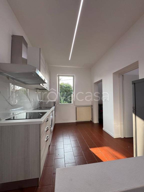 appartamento in affitto a Massa Lombarda