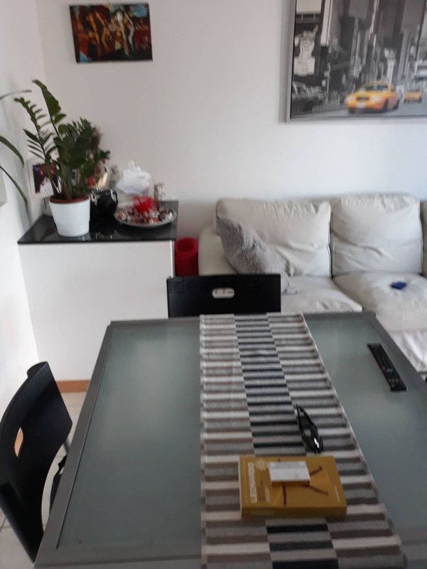 appartamento in affitto a Massa Lombarda