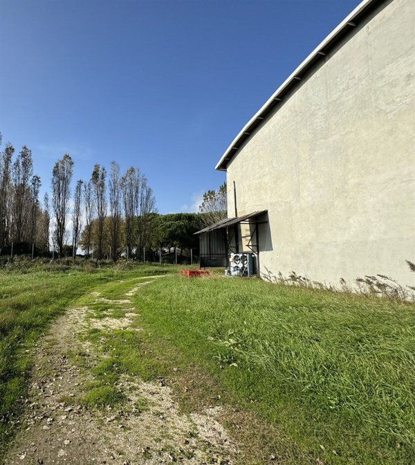 ufficio in affitto a Ravenna