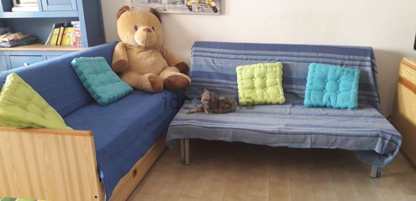 appartamento in affitto a Ravenna in zona Lido Adriano