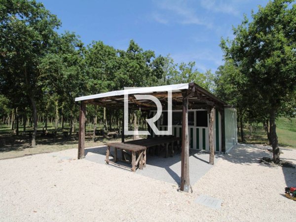 negozio in affitto a Ravenna in zona Ponte Nuovo