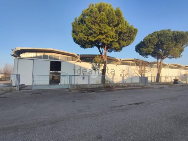 capannone in affitto a Ravenna in zona Roncalceci