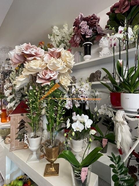 negozio in affitto a Ravenna