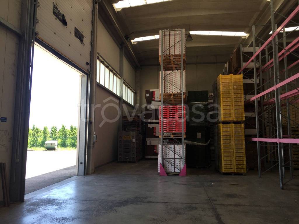 capannone in affitto a Ravenna in zona Camerlona