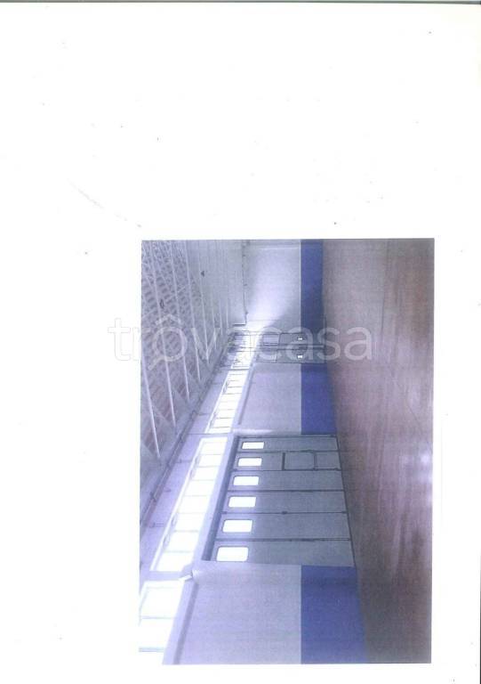 capannone in affitto a Ravenna in zona Madonna dell'Albero