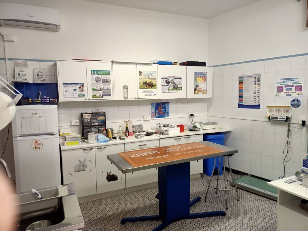 negozio in affitto a Riolo Terme