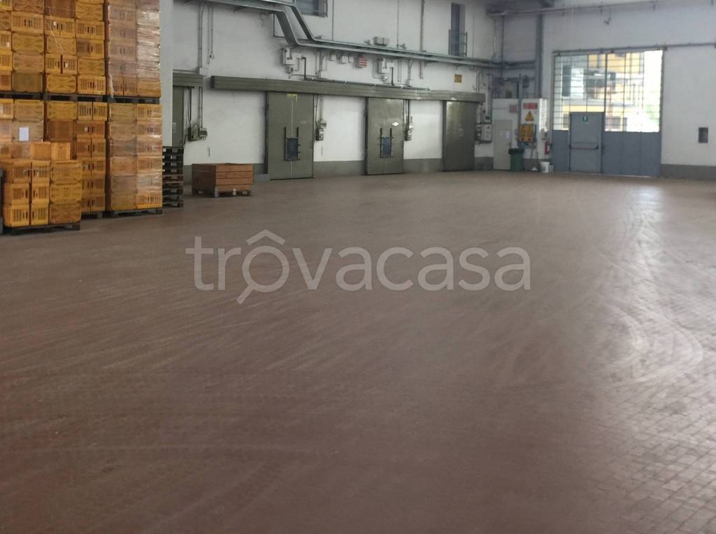 locale commerciale in affitto a Russi