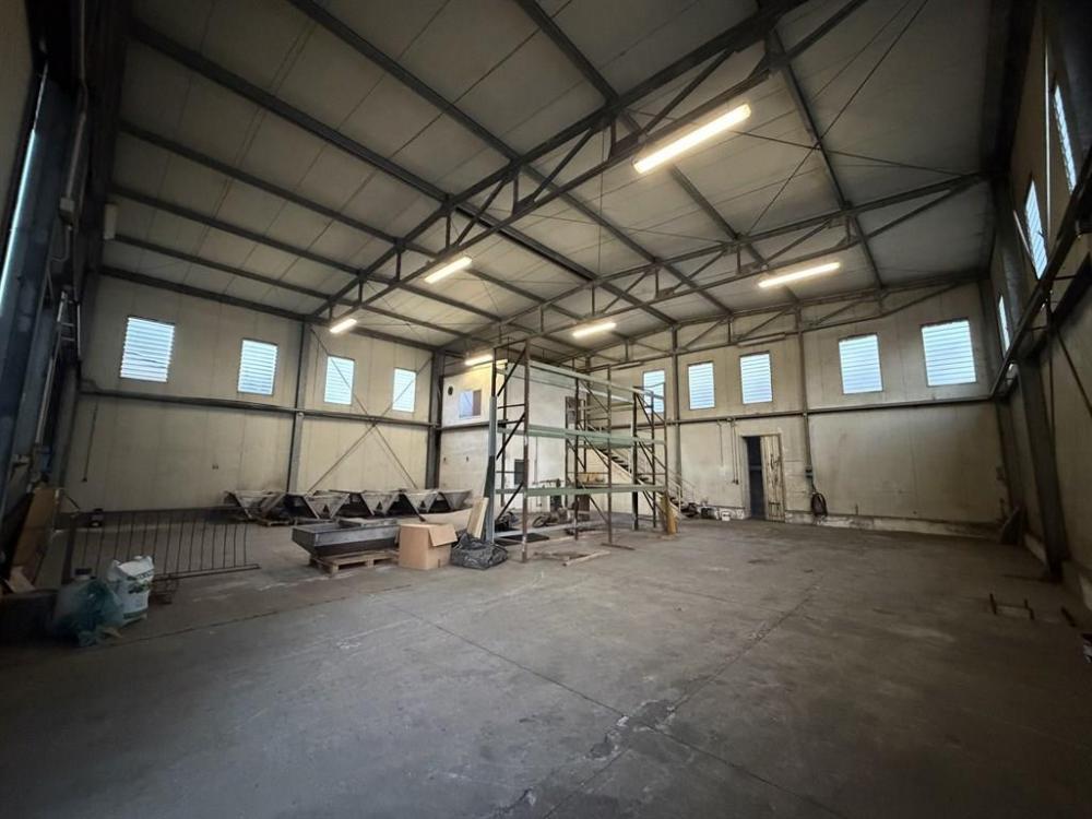 negozio in affitto a Russi