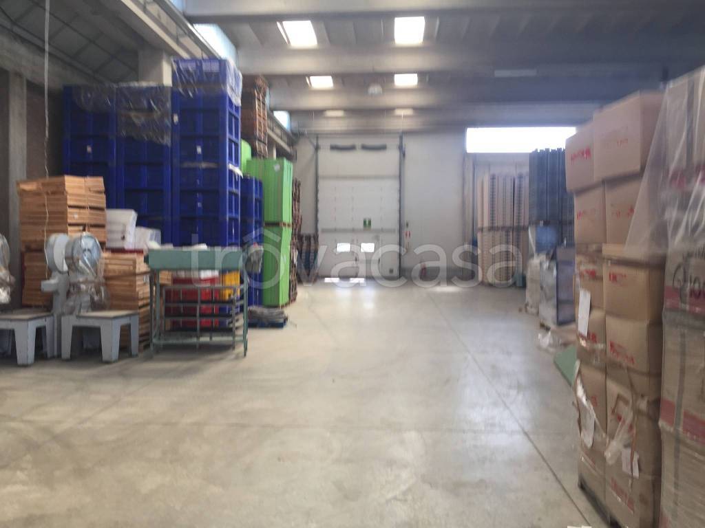 locale commerciale in affitto a Russi
