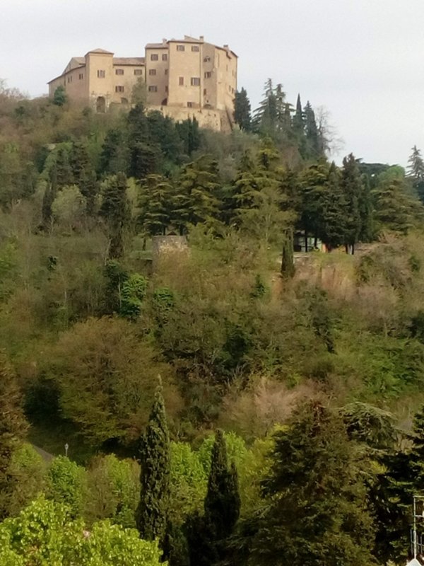 casa indipendente in affitto a Bertinoro