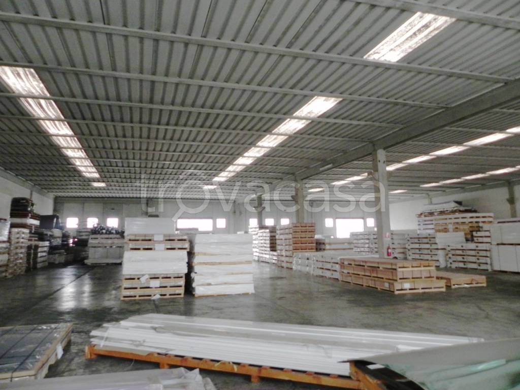 locale commerciale in affitto a Bertinoro in zona Panighina