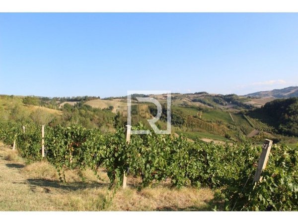 terreno agricolo in affitto a Bertinoro in zona Polenta