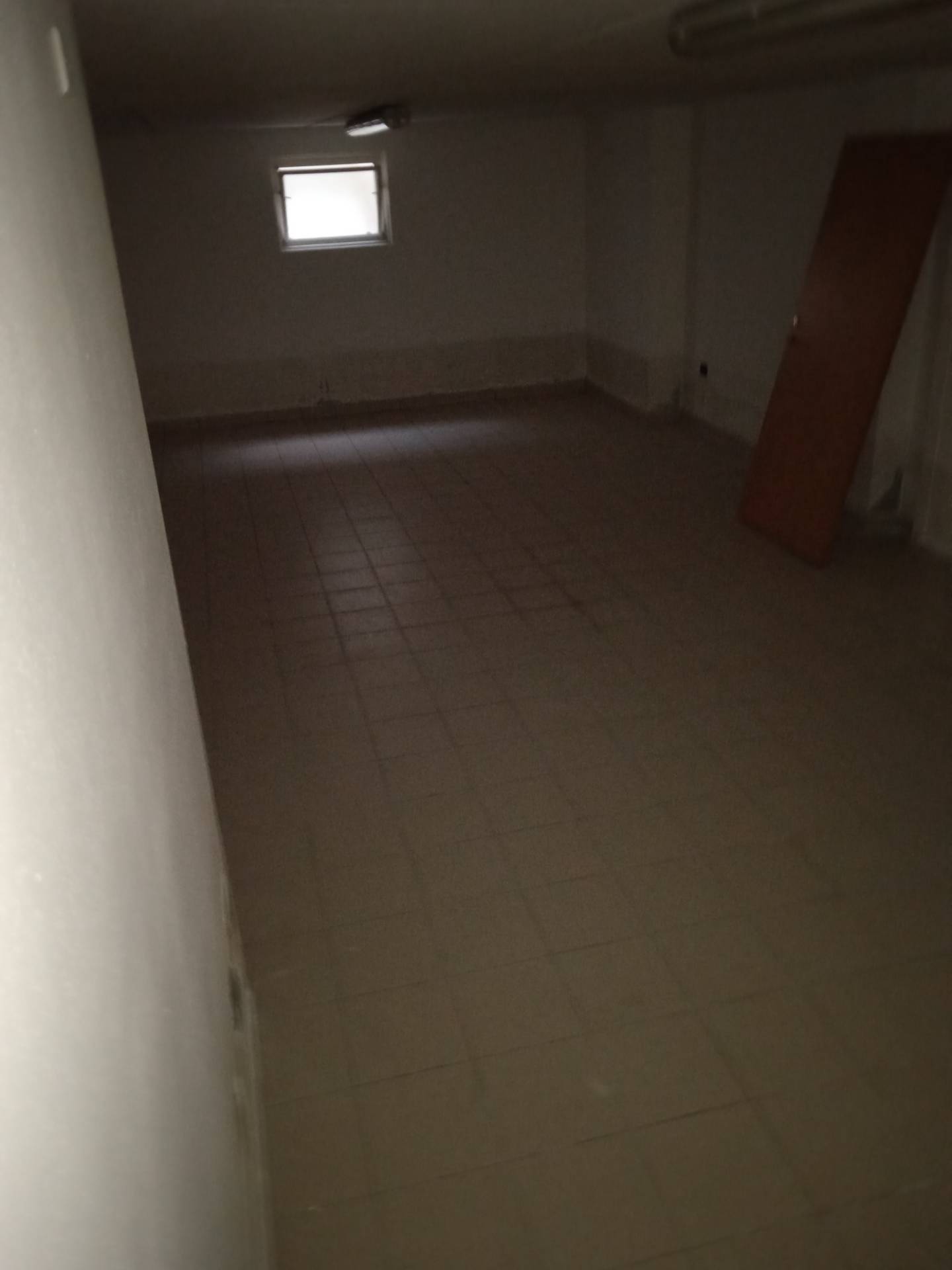 negozio in affitto a Cesena in zona Calisese