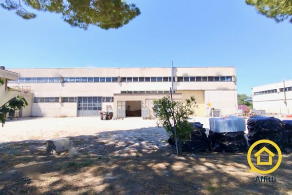 capannone in affitto a Cesena in zona Ponte Pietra