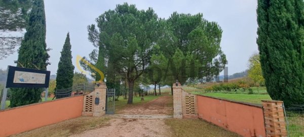 negozio in affitto a Cesena