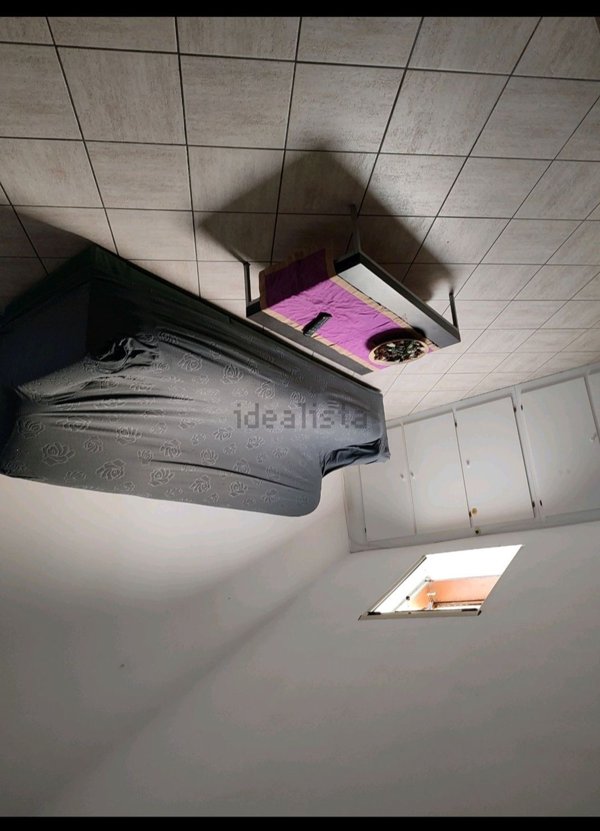 appartamento in affitto a Cesena