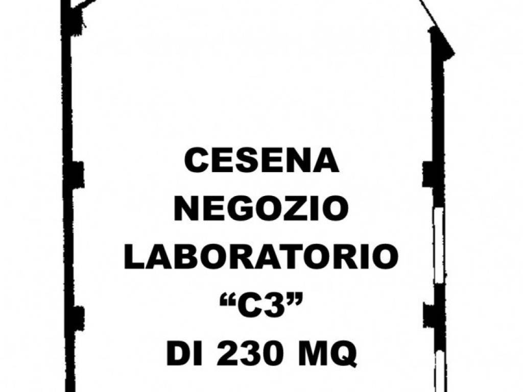 negozio in affitto a Cesena in zona Centro Storico