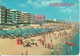 negozio in affitto a Cesenatico