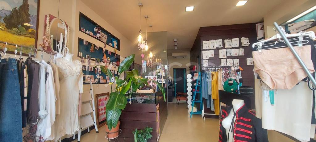 bivano in affitto a Cesenatico