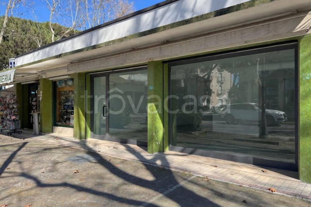 appartamento in affitto a Cesenatico