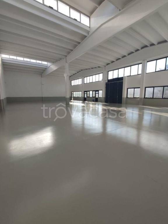 negozio in affitto a Cesenatico