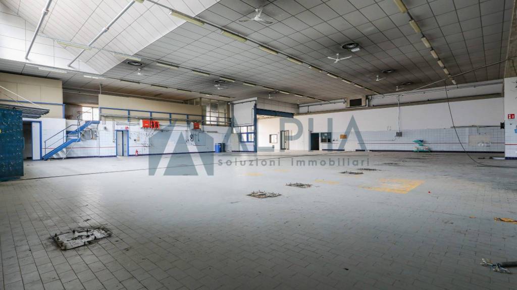 negozio in affitto a Forlì in zona Centro Storico