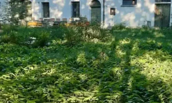 casale in affitto a Forlì in zona Centro Storico