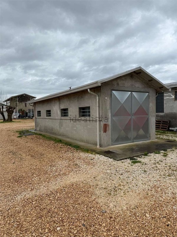 capannone in affitto a Forlì in zona Carpena