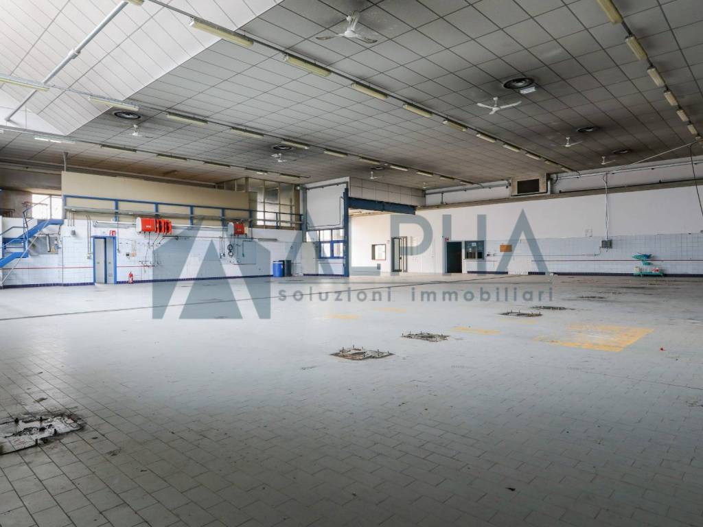 negozio in affitto a Forlì in zona Centro Storico