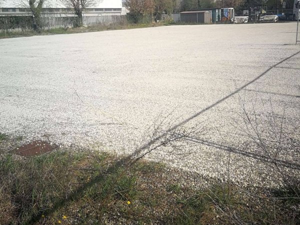 negozio in affitto a Forlì in zona Coriano