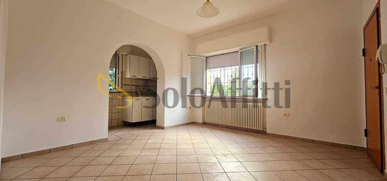 appartamento in affitto a Forlimpopoli