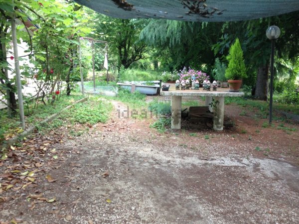 appartamento in affitto a Forlimpopoli