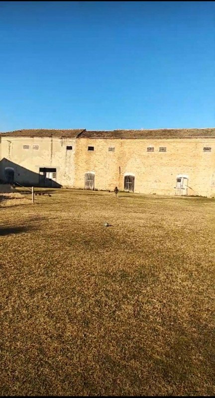 negozio in affitto a Gambettola