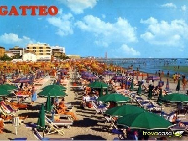 negozio in affitto a Gatteo in zona Gatteo a Mare