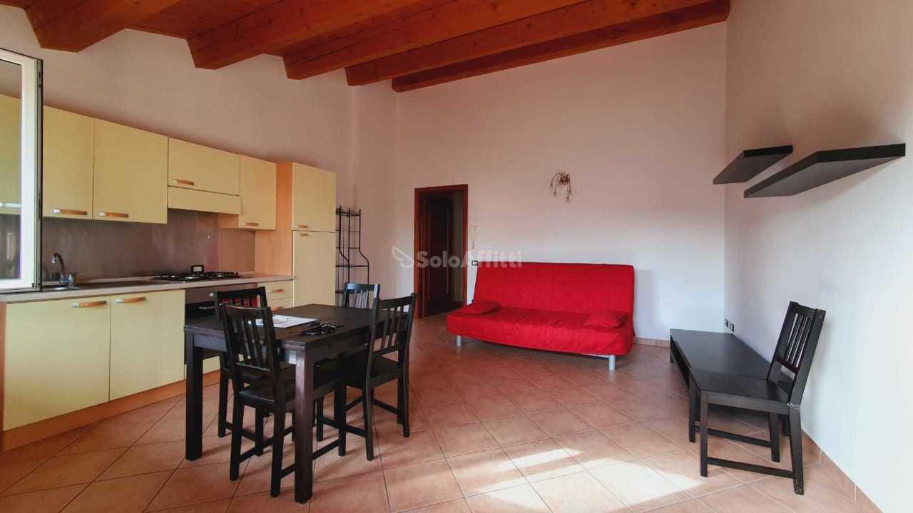 appartamento in affitto a Meldola