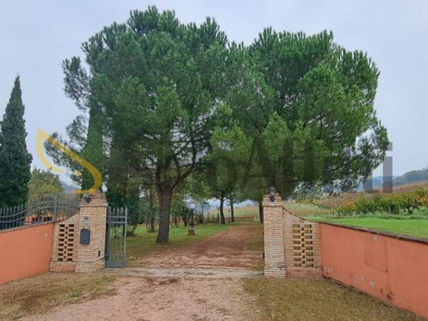 negozio in affitto a Montiano in zona Montenovo