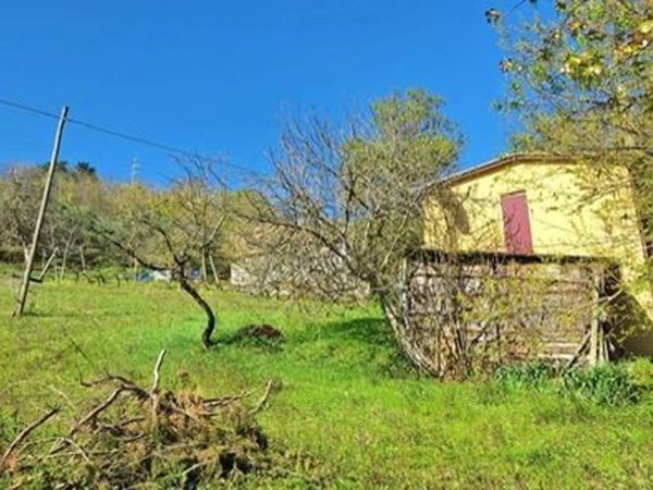 casa indipendente in affitto a Predappio