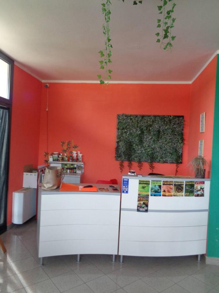 negozio in affitto a Savignano sul Rubicone