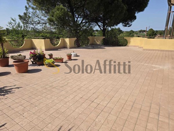 appartamento in affitto a Savignano sul Rubicone